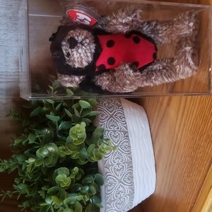 LADYBUG BEAR "BUGSY" WITH DISPLAY CASE